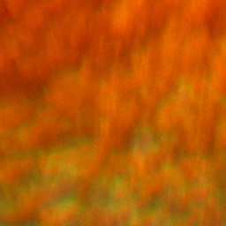 Bokeh-529